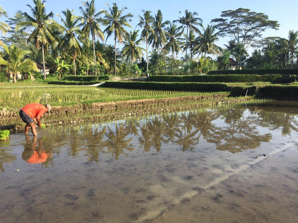 The Suris Ubud Экстерьер фото