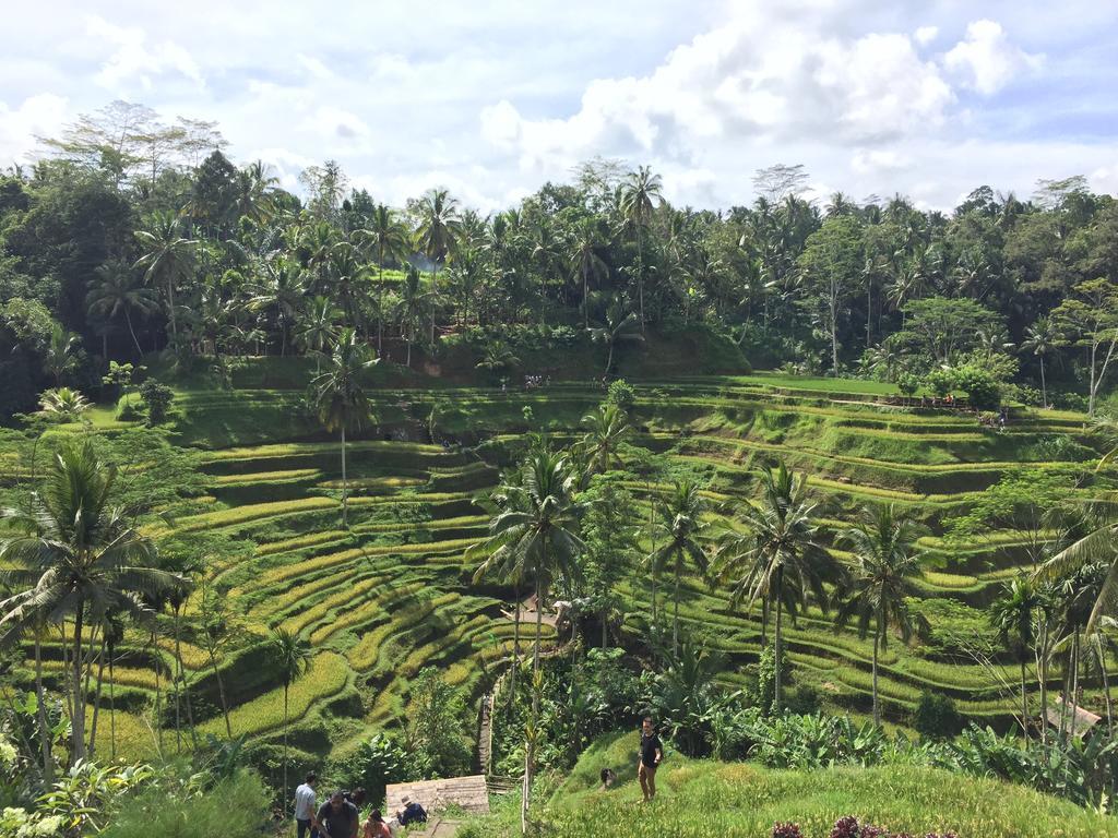 The Suris Ubud Экстерьер фото