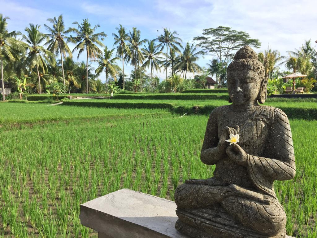 The Suris Ubud Экстерьер фото